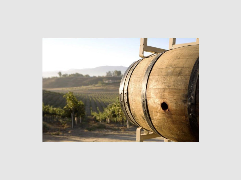 Masterclass Tasting - Fattoria Le Pupille