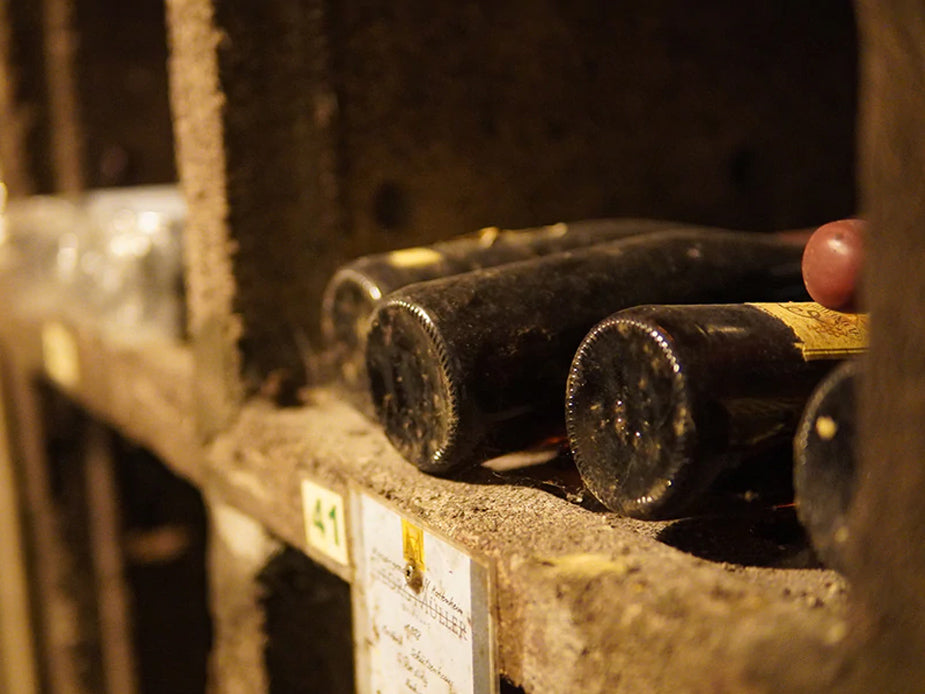 Raritätenweinprobe im historischen Riesenfasskeller